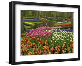 Tulip and Hyacinth Garden, Keukenhof Gardens, Lisse, Netherlands, Holland-Adam Jones-Framed Photographic Print