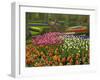 Tulip and Hyacinth Garden, Keukenhof Gardens, Lisse, Netherlands, Holland-Adam Jones-Framed Photographic Print