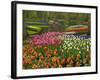 Tulip and Hyacinth Garden, Keukenhof Gardens, Lisse, Netherlands, Holland-Adam Jones-Framed Photographic Print