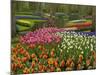 Tulip and Hyacinth Garden, Keukenhof Gardens, Lisse, Netherlands, Holland-Adam Jones-Mounted Photographic Print