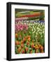 Tulip and Hyacinth Garden, Keukenhof Gardens, Lisse, Netherlands, Holland-Adam Jones-Framed Photographic Print