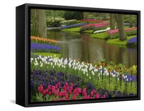 Tulip and Hyacinth Garden, Keukenhof Gardens, Lisse, Netherlands, Holland-Adam Jones-Framed Stretched Canvas