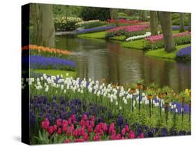 Tulip and Hyacinth Garden, Keukenhof Gardens, Lisse, Netherlands, Holland-Adam Jones-Stretched Canvas