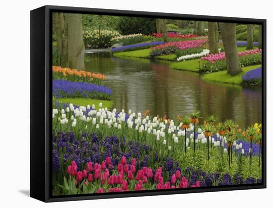 Tulip and Hyacinth Garden, Keukenhof Gardens, Lisse, Netherlands, Holland-Adam Jones-Framed Stretched Canvas