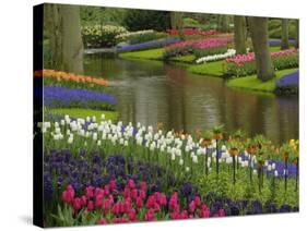 Tulip and Hyacinth Garden, Keukenhof Gardens, Lisse, Netherlands, Holland-Adam Jones-Stretched Canvas