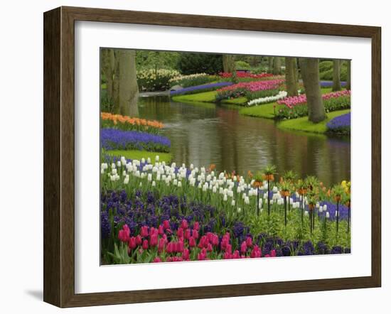 Tulip and Hyacinth Garden, Keukenhof Gardens, Lisse, Netherlands, Holland-Adam Jones-Framed Photographic Print