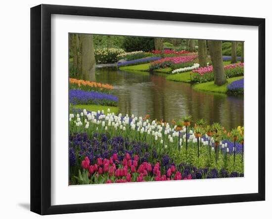 Tulip and Hyacinth Garden, Keukenhof Gardens, Lisse, Netherlands, Holland-Adam Jones-Framed Photographic Print