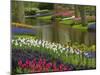 Tulip and Hyacinth Garden, Keukenhof Gardens, Lisse, Netherlands, Holland-Adam Jones-Mounted Photographic Print