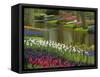 Tulip and Hyacinth Garden, Keukenhof Gardens, Lisse, Netherlands, Holland-Adam Jones-Framed Stretched Canvas