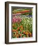 Tulip and Hyacinth Garden, Keukenhof Gardens, Lisse, Netherlands, Holland-Adam Jones-Framed Photographic Print