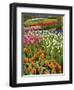 Tulip and Hyacinth Garden, Keukenhof Gardens, Lisse, Netherlands, Holland-Adam Jones-Framed Photographic Print