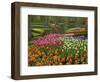 Tulip and Hyacinth Garden, Keukenhof Gardens, Lisse, Netherlands, Holland-Adam Jones-Framed Photographic Print