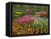 Tulip and Hyacinth Garden, Keukenhof Gardens, Lisse, Netherlands, Holland-Adam Jones-Framed Stretched Canvas