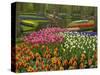 Tulip and Hyacinth Garden, Keukenhof Gardens, Lisse, Netherlands, Holland-Adam Jones-Stretched Canvas