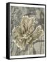 Tulip and Wildflowers II-Jennifer Goldberger-Framed Stretched Canvas
