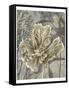 Tulip and Wildflowers II-Jennifer Goldberger-Framed Stretched Canvas