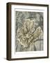 Tulip and Wildflowers II-Jennifer Goldberger-Framed Art Print