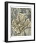 Tulip and Wildflowers II-Jennifer Goldberger-Framed Art Print