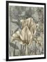 Tulip and Wildflowers IV-Jennifer Goldberger-Framed Art Print