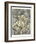 Tulip and Wildflowers IV-Jennifer Goldberger-Framed Art Print