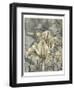 Tulip and Wildflowers IV-Jennifer Goldberger-Framed Art Print