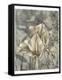 Tulip and Wildflowers IV-Jennifer Goldberger-Framed Stretched Canvas