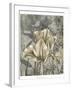 Tulip and Wildflowers IV-Jennifer Goldberger-Framed Art Print