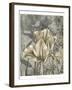 Tulip and Wildflowers IV-Jennifer Goldberger-Framed Art Print