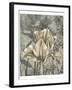 Tulip and Wildflowers IV-Jennifer Goldberger-Framed Art Print