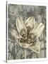 Tulip and Wildflowers VIII-Jennifer Goldberger-Stretched Canvas