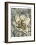 Tulip and Wildflowers VIII-Jennifer Goldberger-Framed Art Print