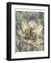 Tulip and Wildflowers VIII-Jennifer Goldberger-Framed Art Print