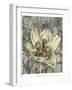 Tulip and Wildflowers VIII-Jennifer Goldberger-Framed Art Print