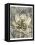 Tulip and Wildflowers VIII-Jennifer Goldberger-Framed Stretched Canvas