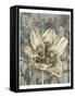 Tulip and Wildflowers VIII-Jennifer Goldberger-Framed Stretched Canvas