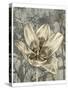 Tulip and Wildflowers VIII-Jennifer Goldberger-Stretched Canvas