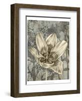 Tulip and Wildflowers VIII-Jennifer Goldberger-Framed Art Print