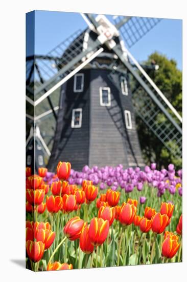 Tulip and Windmill-tomophotography-Stretched Canvas