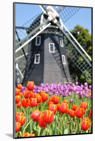 Tulip and Windmill-tomophotography-Mounted Photographic Print