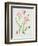 Tulip angelique-Sally Crosthwaite-Framed Giclee Print