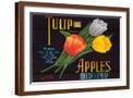 Brown Frame