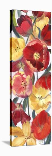 Tulip Array Panel II-Sandra Iafrate-Stretched Canvas