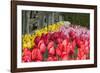 Tulip Bed II-Dana Styber-Framed Photographic Print
