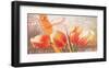 Tulip Bench-Gerard Beauvoir-Framed Art Print