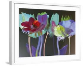 Tulip Blaze-Katja Marzahn-Framed Giclee Print