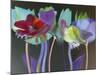 Tulip Blaze-Katja Marzahn-Mounted Giclee Print