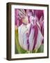 Tulip bloom, Wooden Shoe tulip farm, Woodburn, Oregon.-William Sutton-Framed Photographic Print