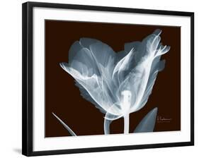 Tulip Blossom Portrait-Albert Koetsier-Framed Art Print