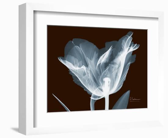 Tulip Blossom Portrait-Albert Koetsier-Framed Art Print