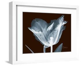 Tulip Blossom Portrait-Albert Koetsier-Framed Art Print